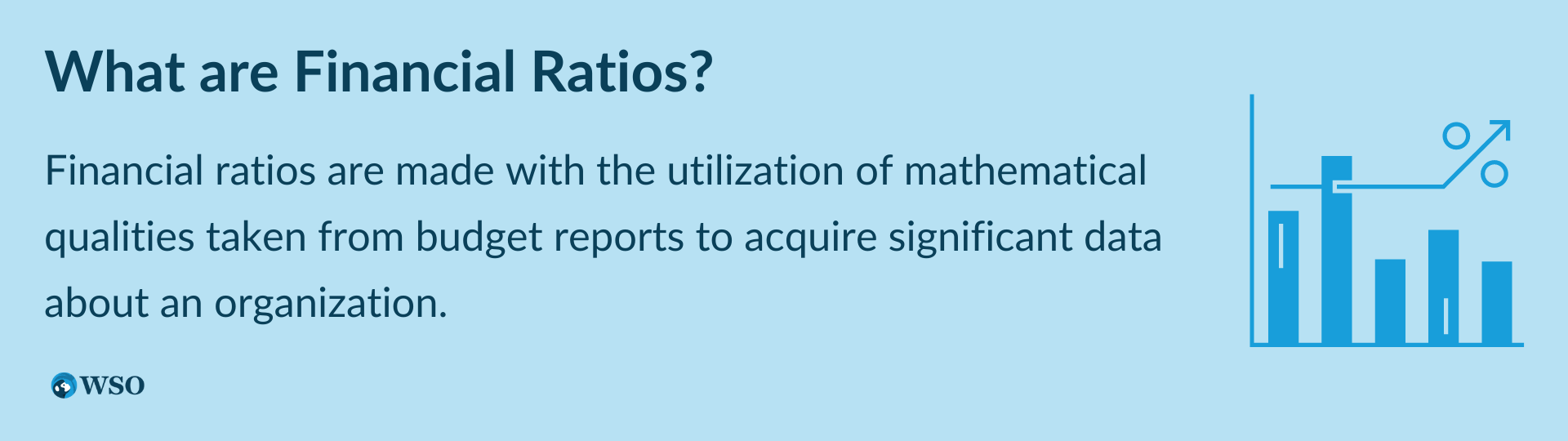 What are Financial Ratios?